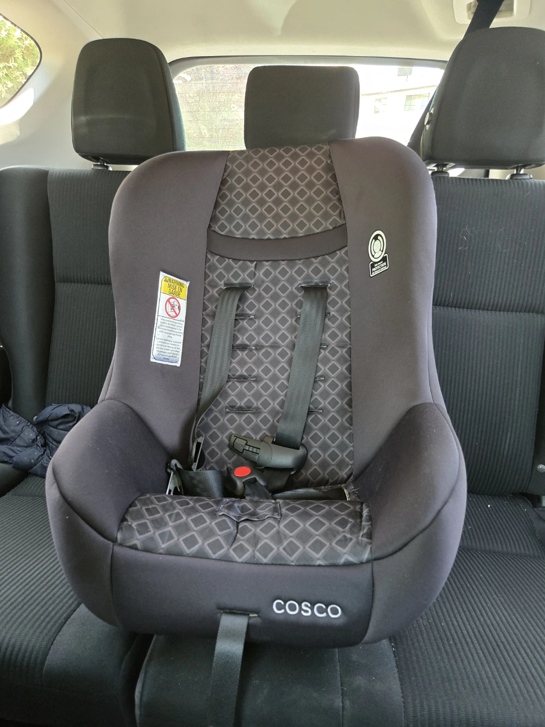 Cosco Convertible Car Seat