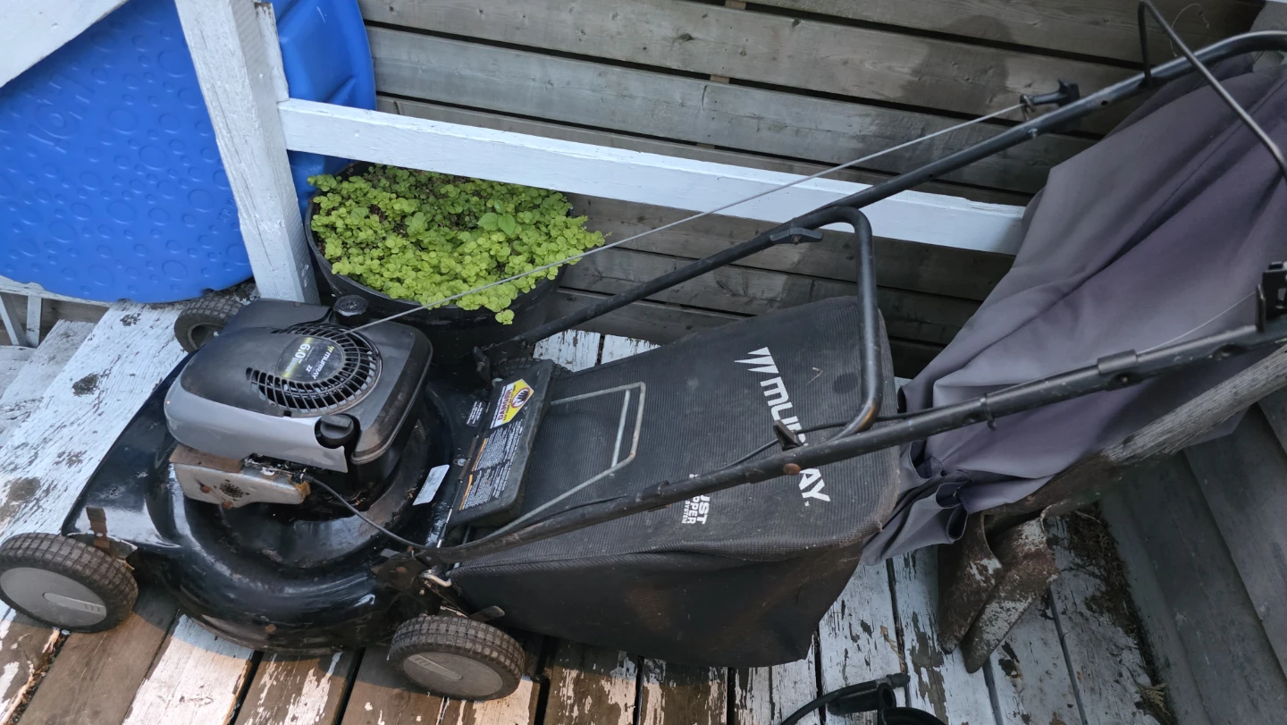 Murray 22" Gas Mower