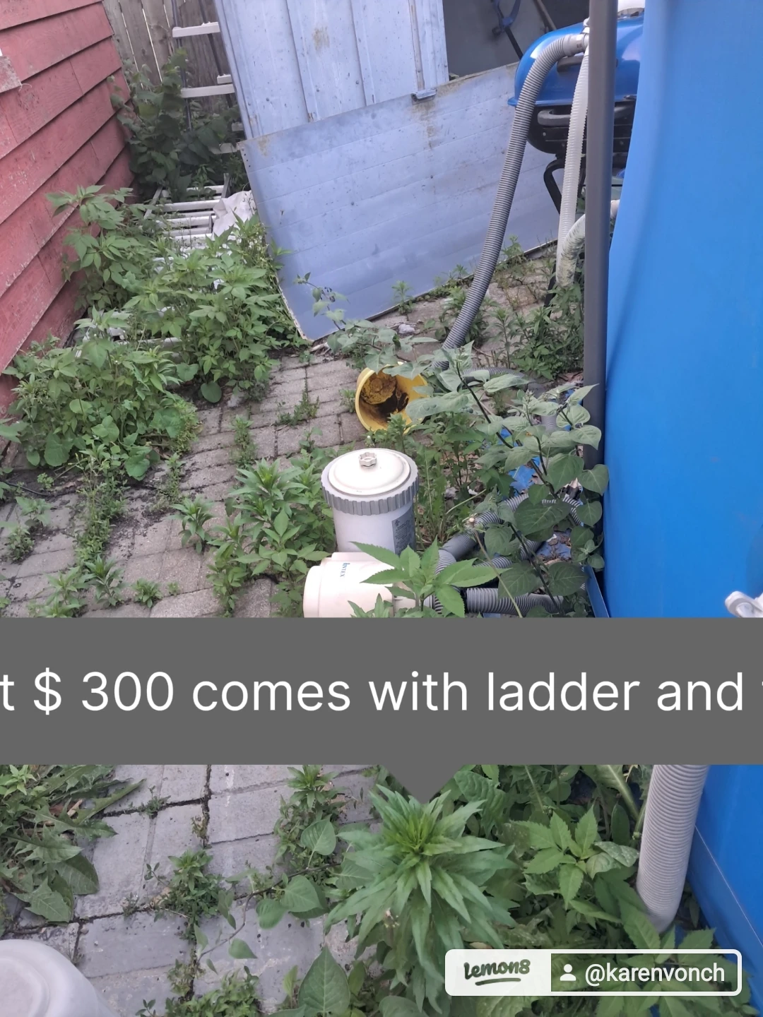 Above Ground Swimming Pool with pump and  Ladder - photo 3