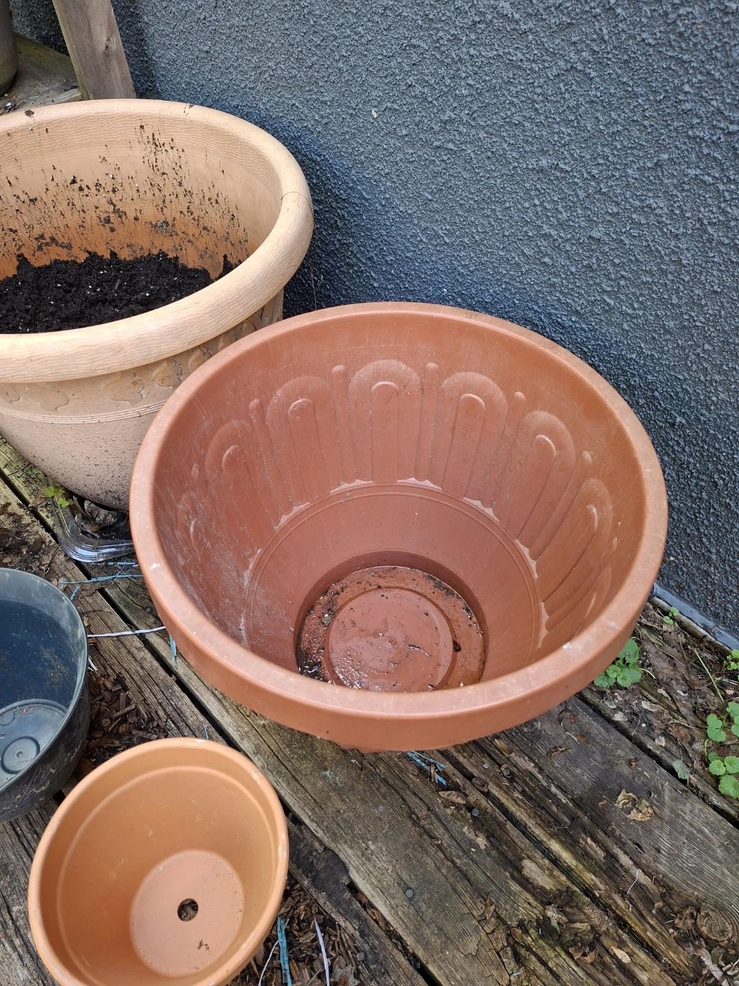 Assorted Plant Pots PRICED SINGLY - photo 2