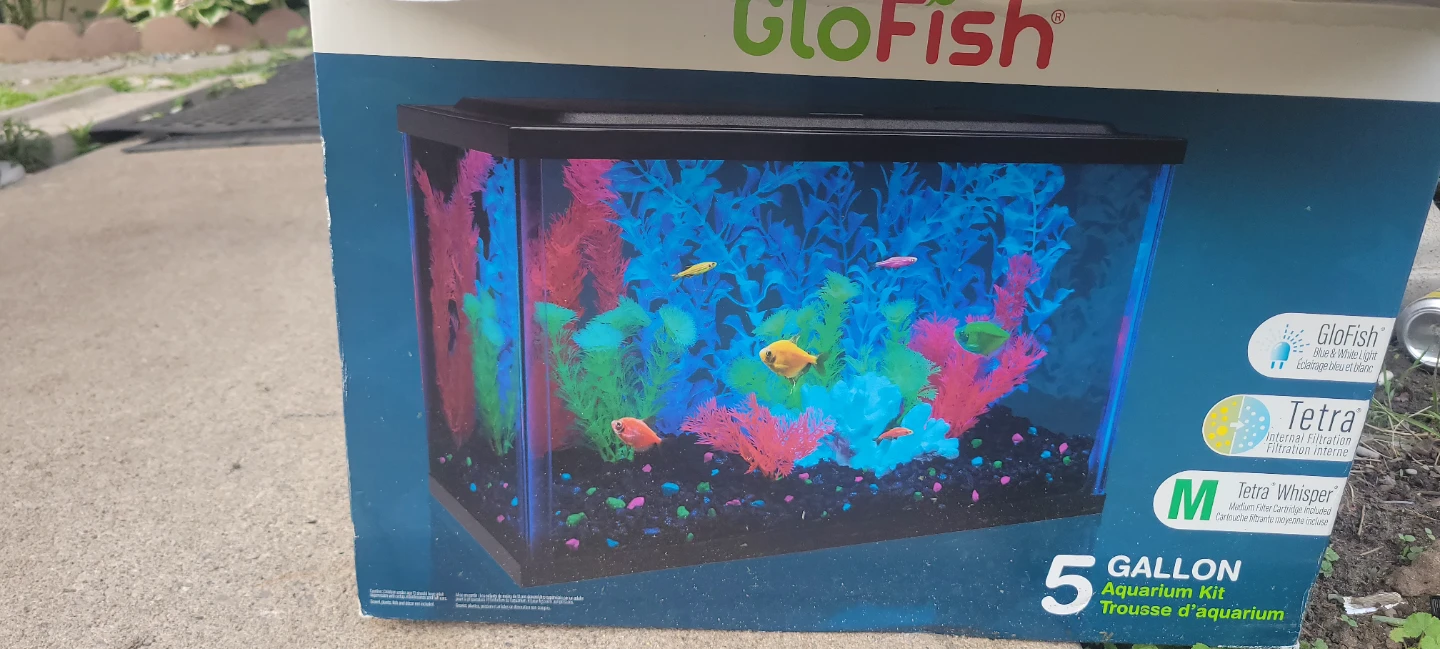 GloFish 5 Gallon Aquarium Kit