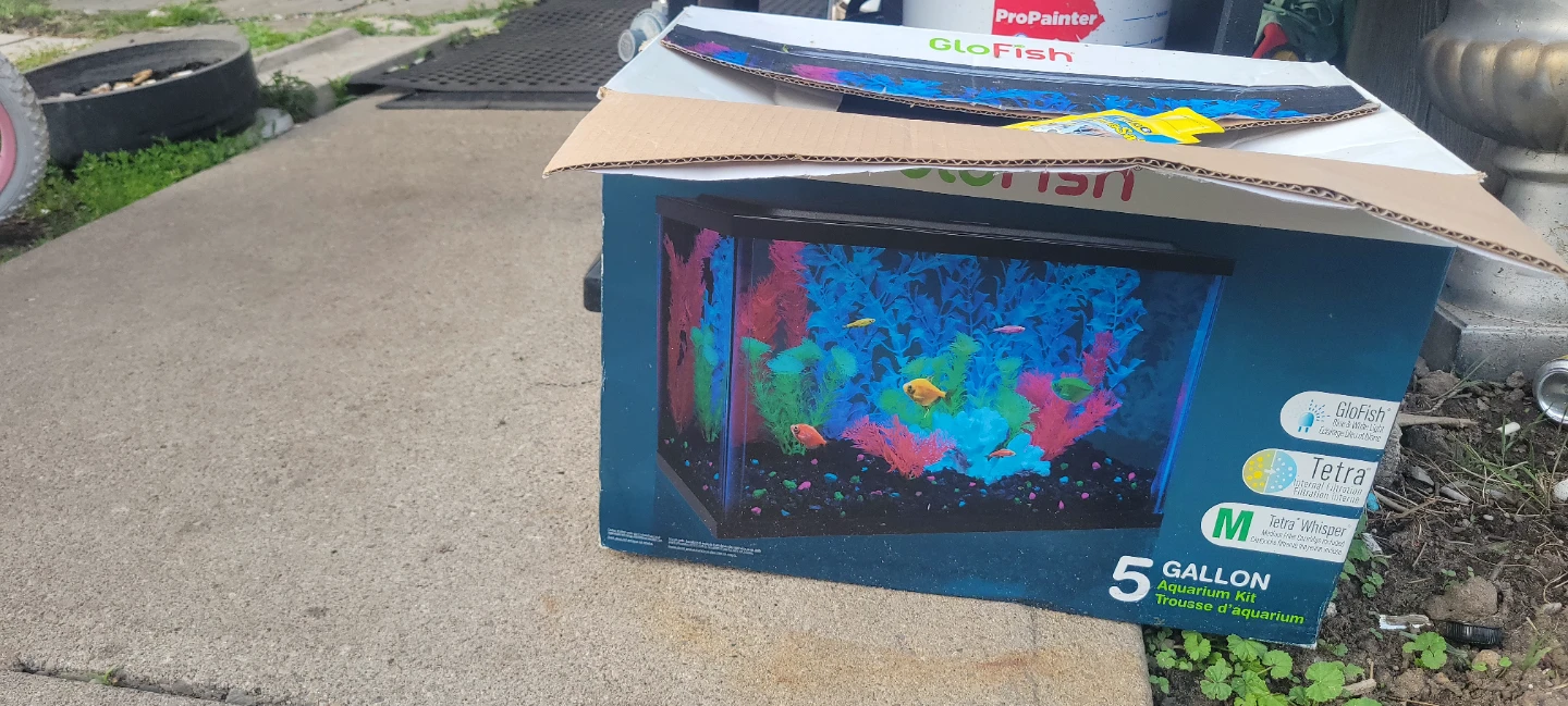 GloFish 5 Gallon Aquarium Kit - photo 2