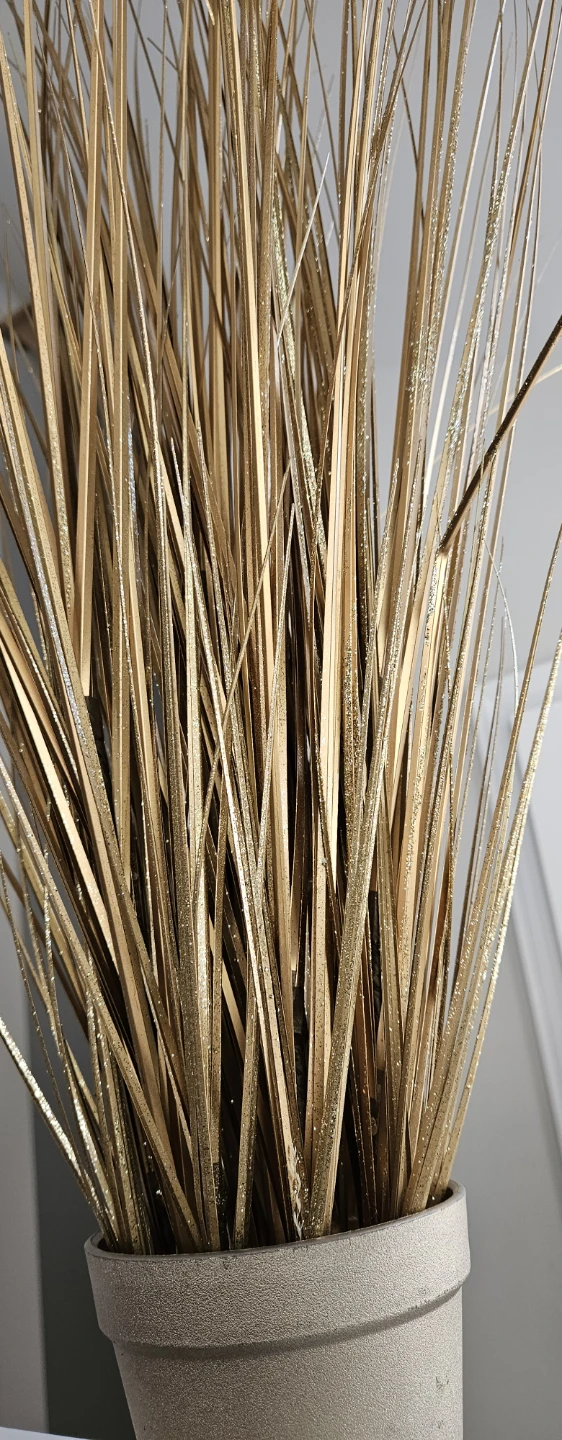 Gold Decorative Grass in Pot - photo 2