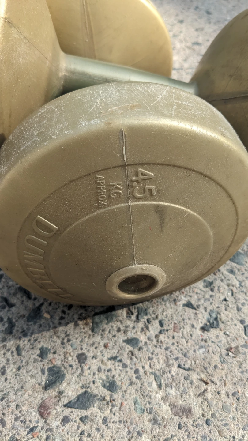 Gold Dumbbells 10 lbs (4.5 kg pair) - photo 2