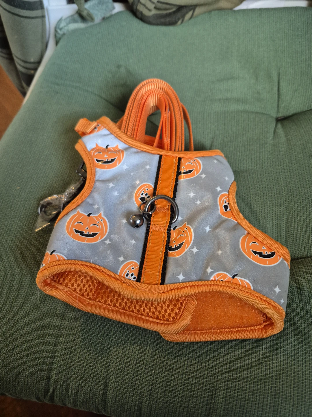 Dog Harness with Pumpkin Print