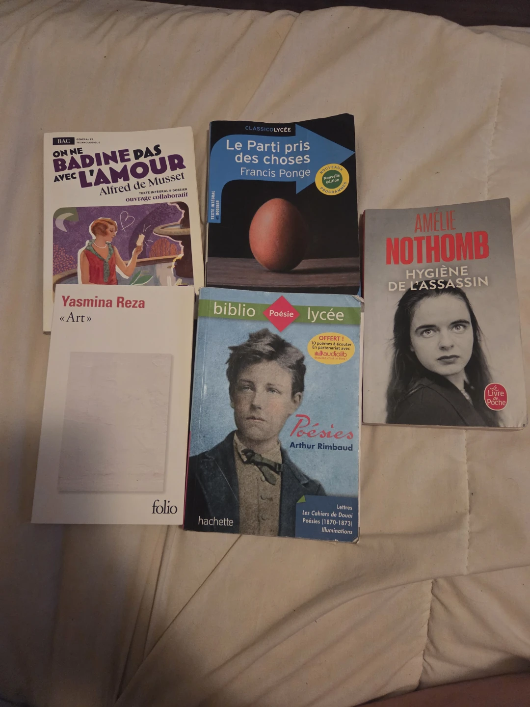 Bundle french books