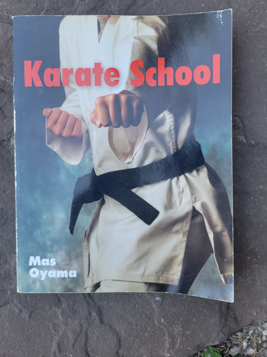Karate School Book by Mas Oyama
