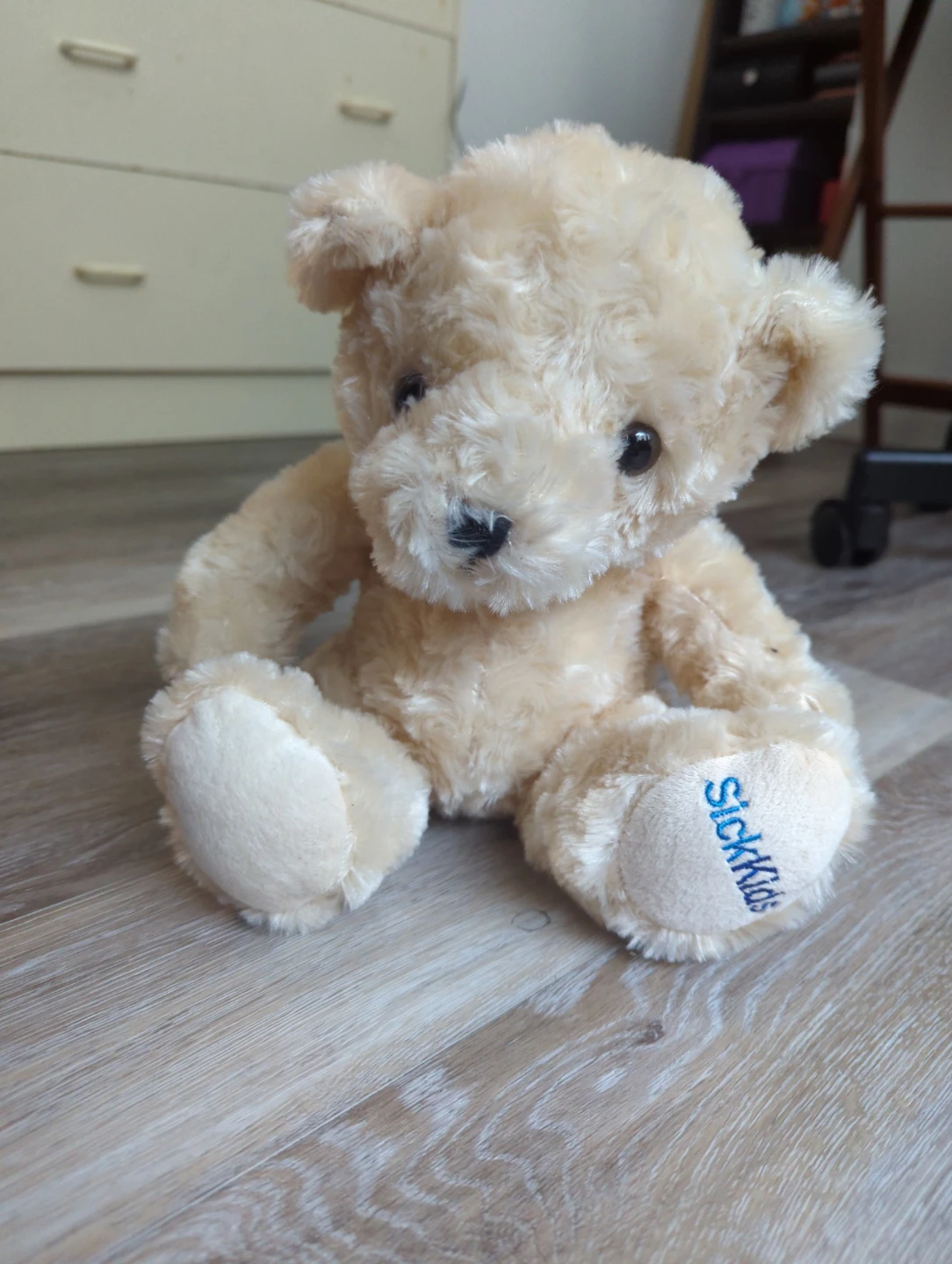 SickKids Teddy Bear Plush ⚽