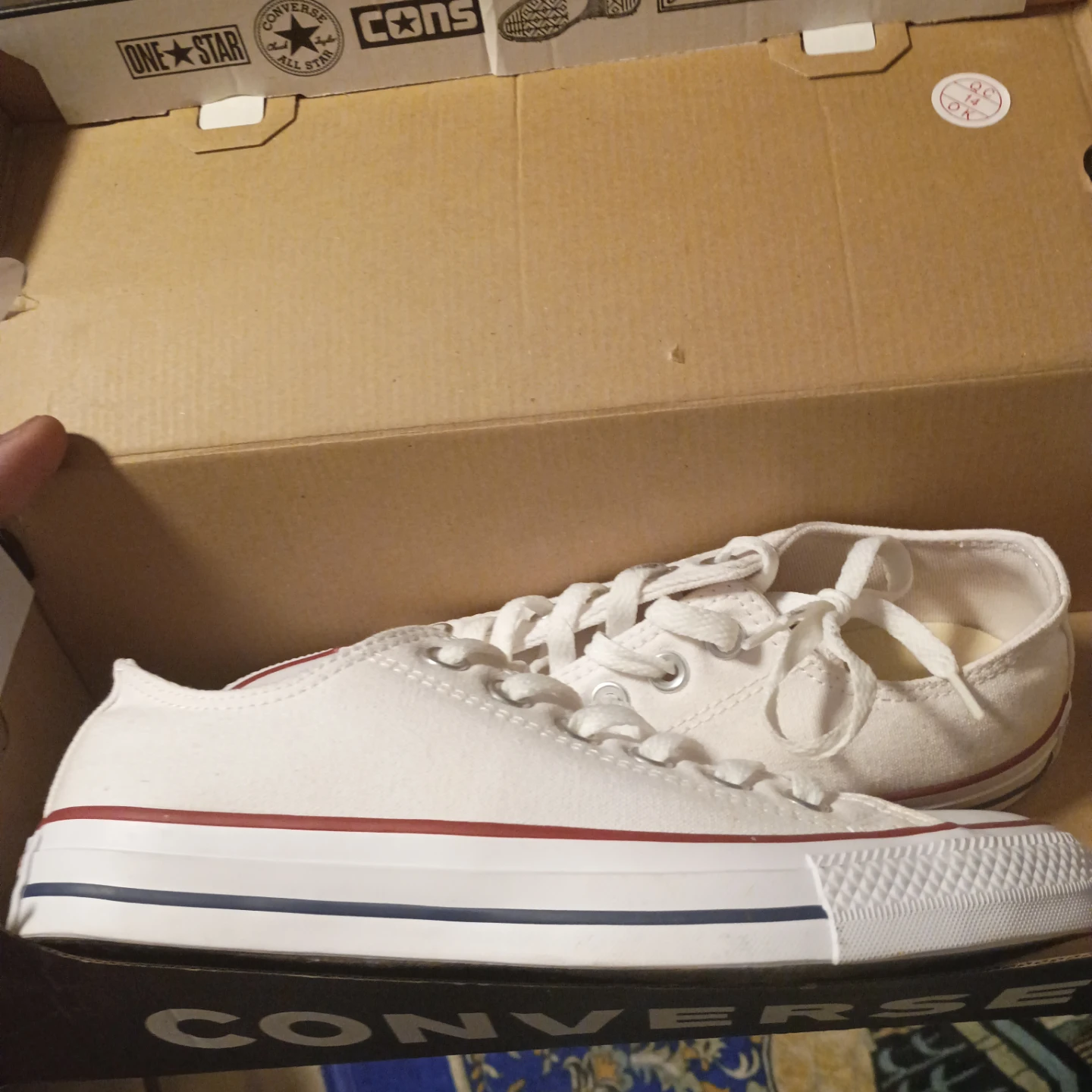 Converse All Star Chuck Taylor Sneakers