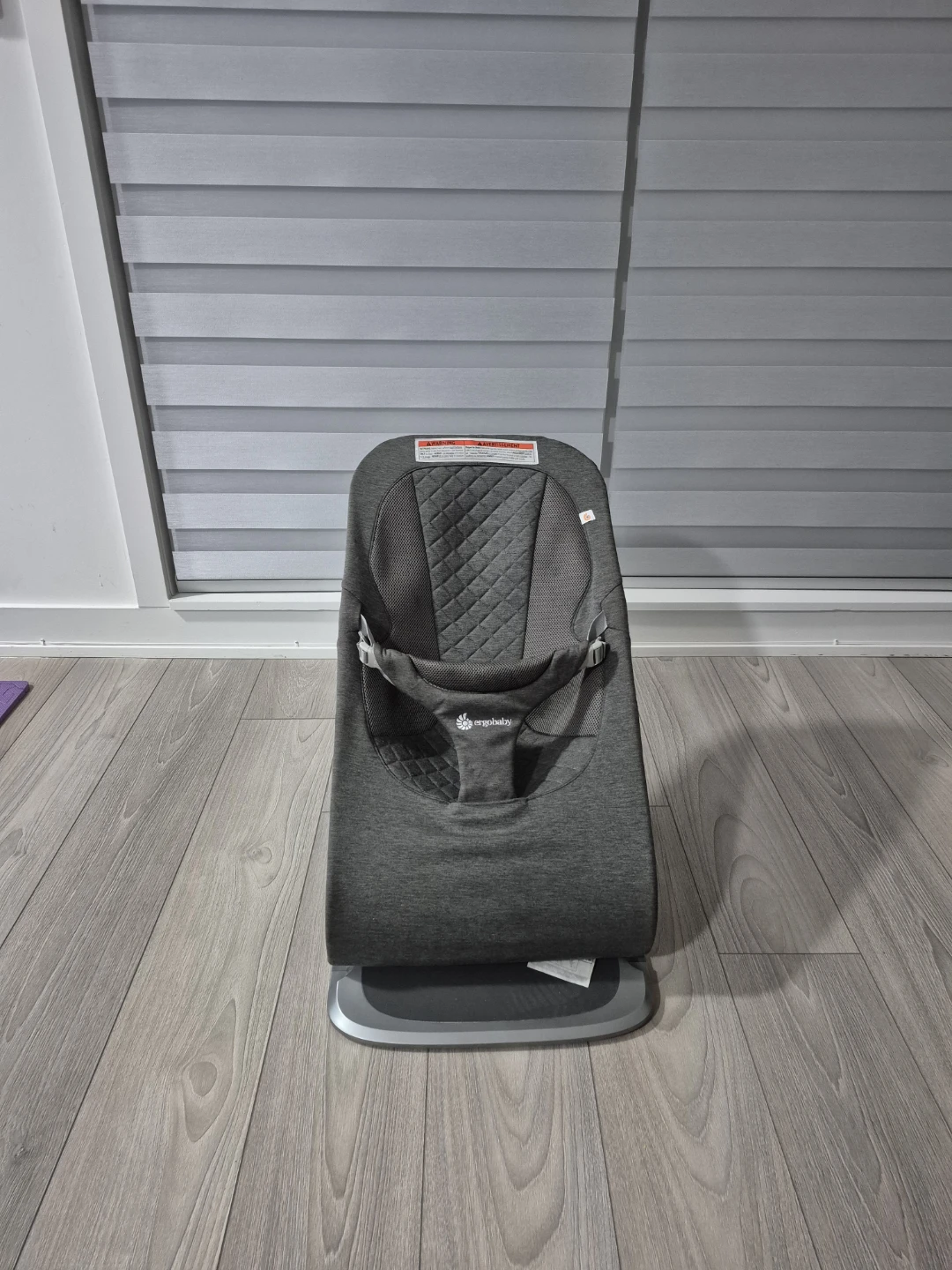 Ergobaby Baby Rocker - photo 3