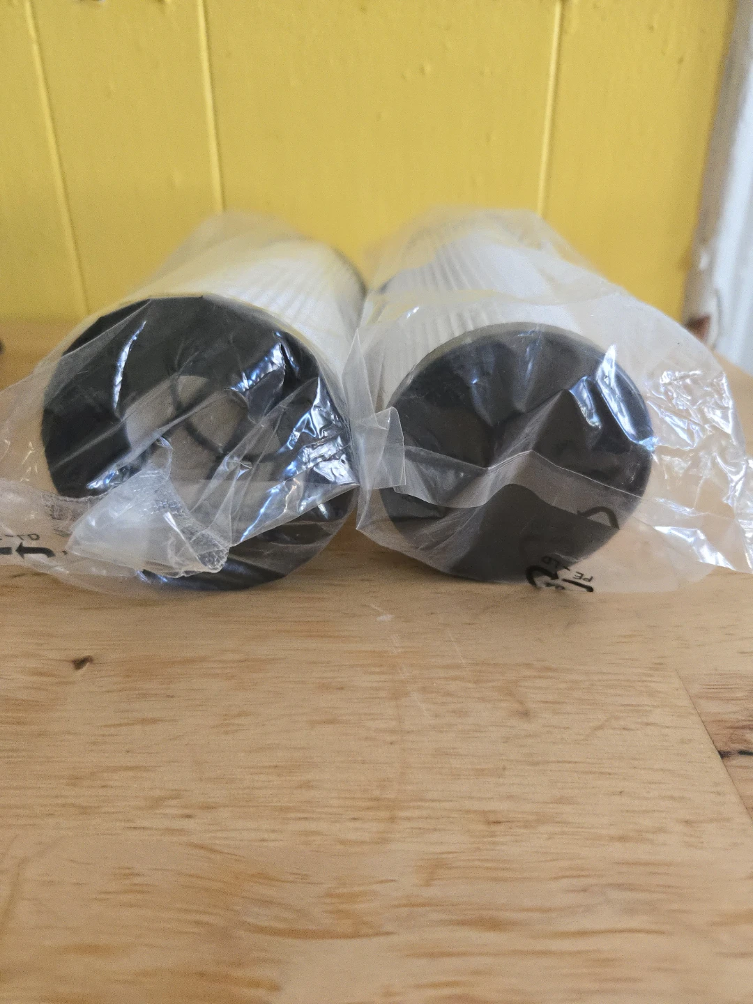Pair of Vacuum Filters - photo 2