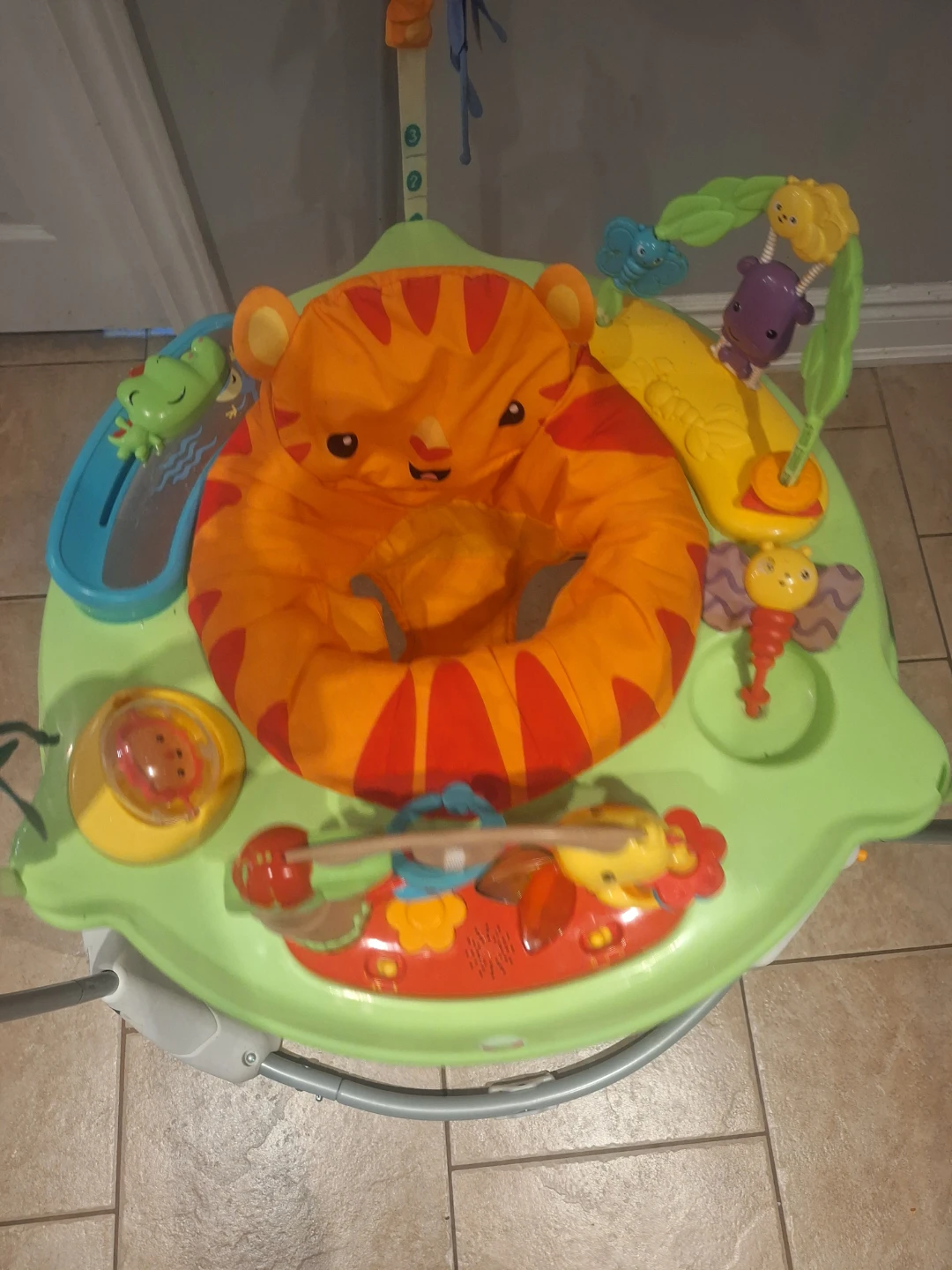 Fisher-Price Jumperoo - photo 2