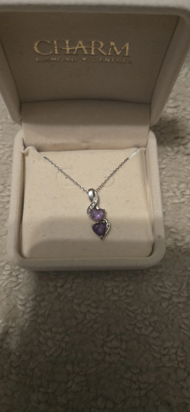 Charm Amethyst Silver Necklace