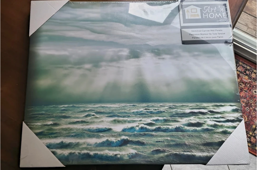 Art 'n Home Stretched Canvas Wall Art