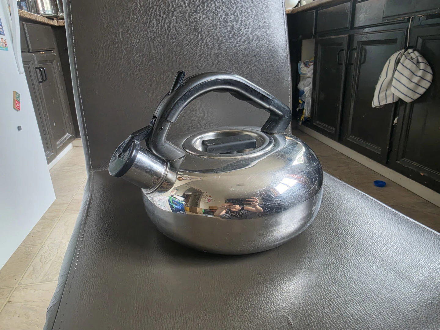 Whistling Stovetop Kettles, Stainless Steel Ergonomic Handle