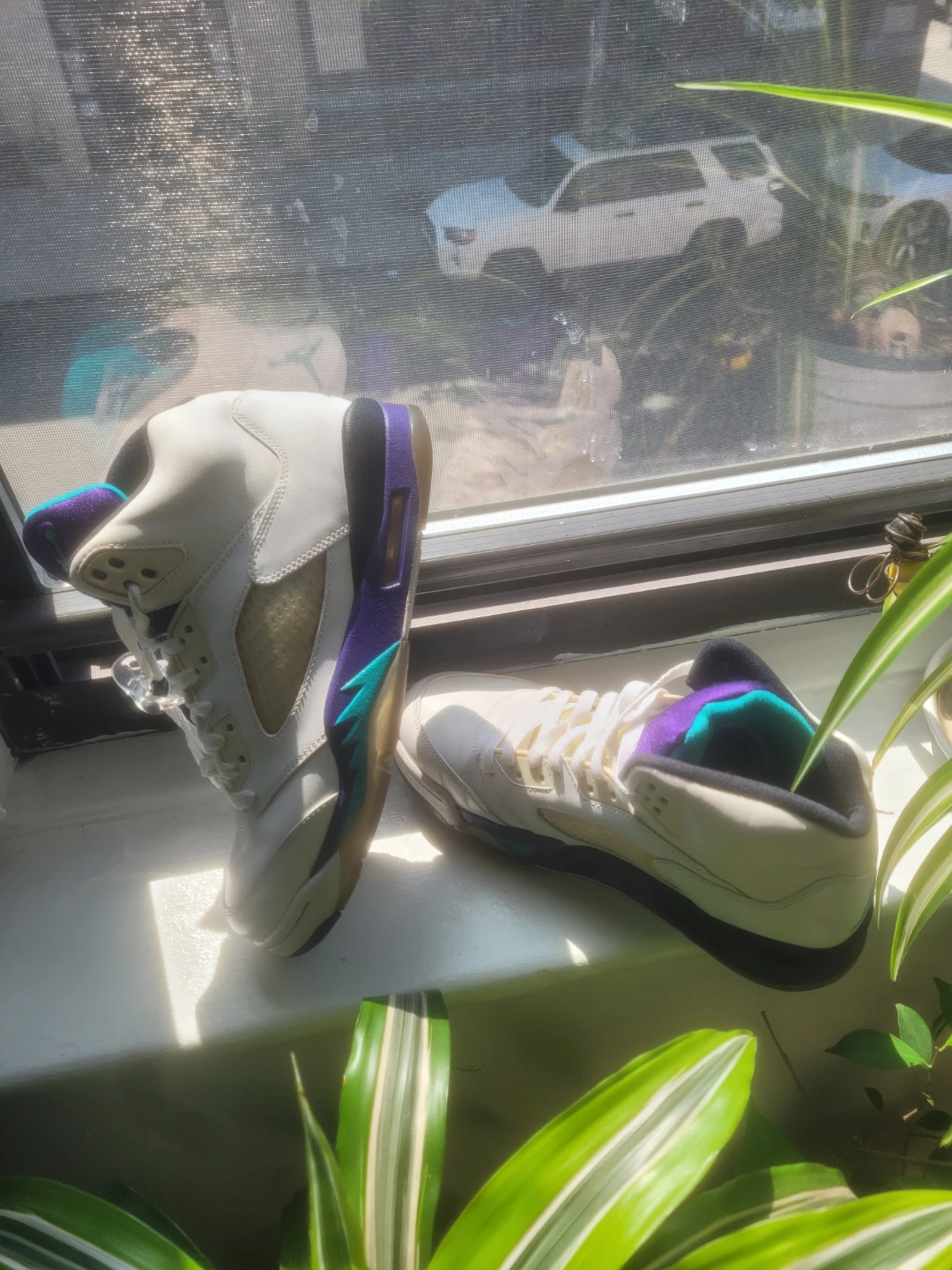 Jorda 5 retro grape