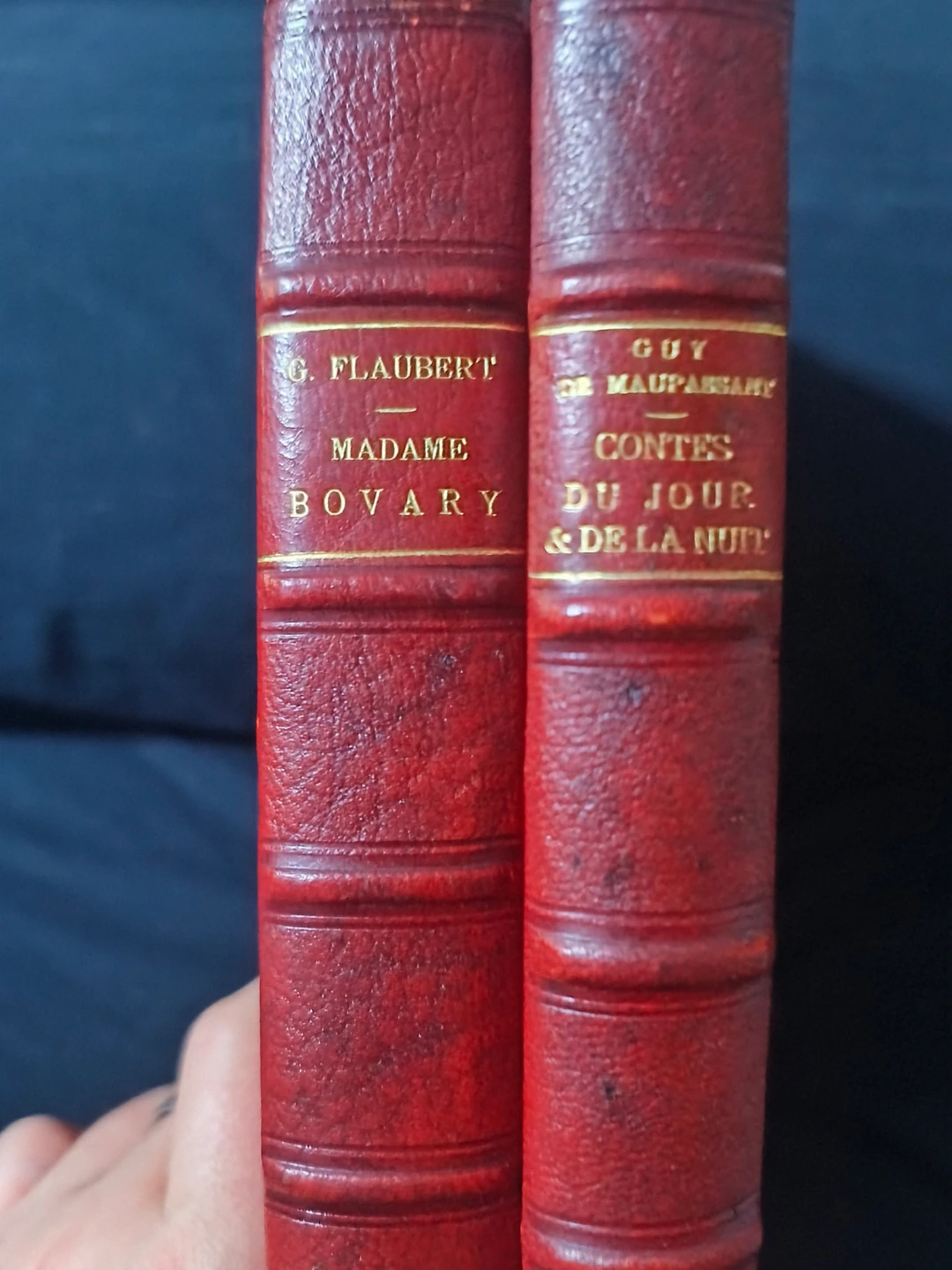 Madame Bovary & Contes du Jour et de la Nuit, Books