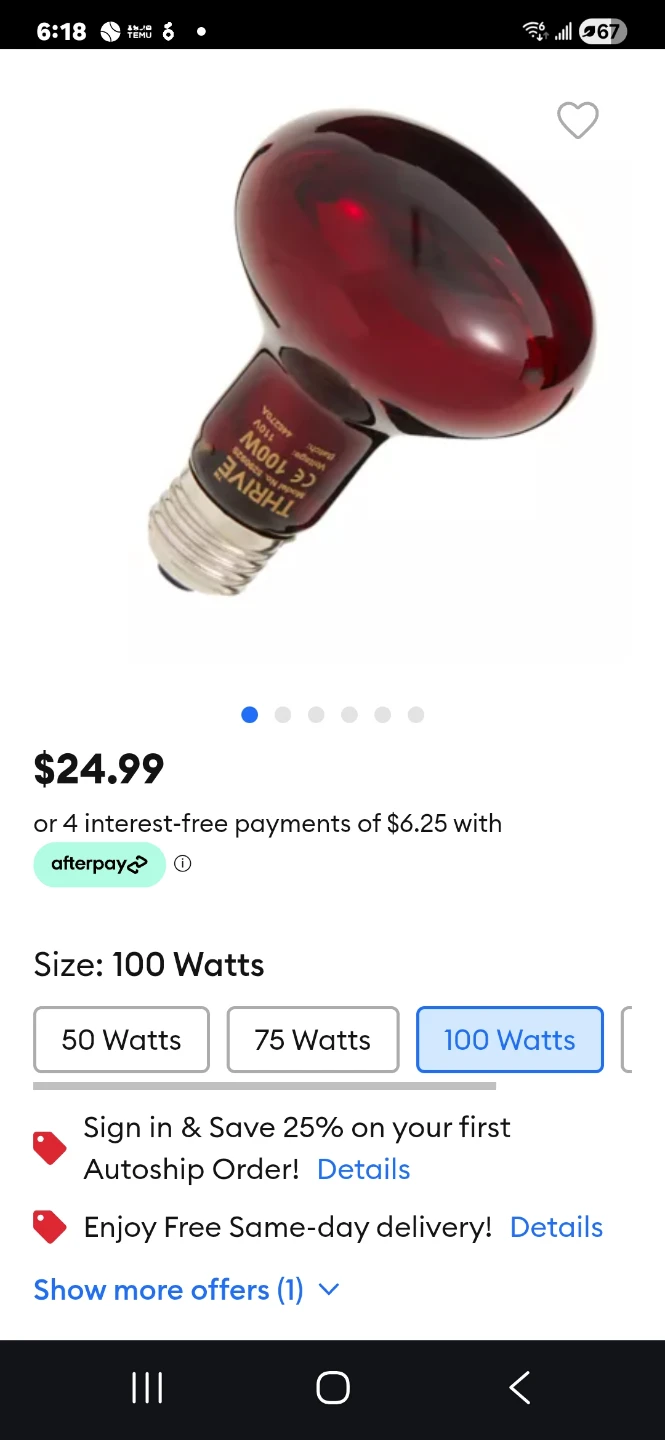 100W Red Heat Lamp Bulb - photo 3