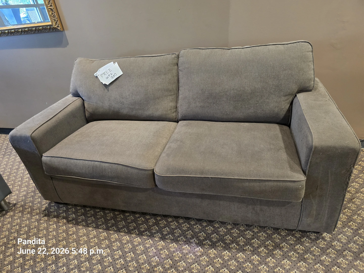 Grey Sofa bed