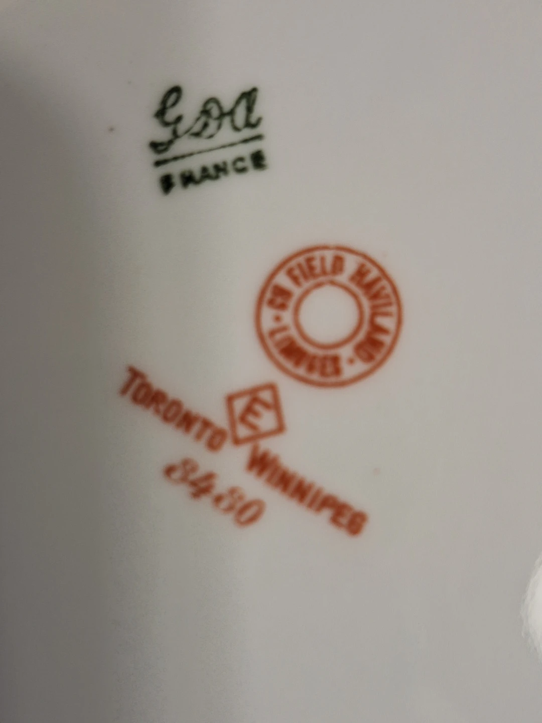 Limoges Haviland France Dinnerware Set - photo 2
