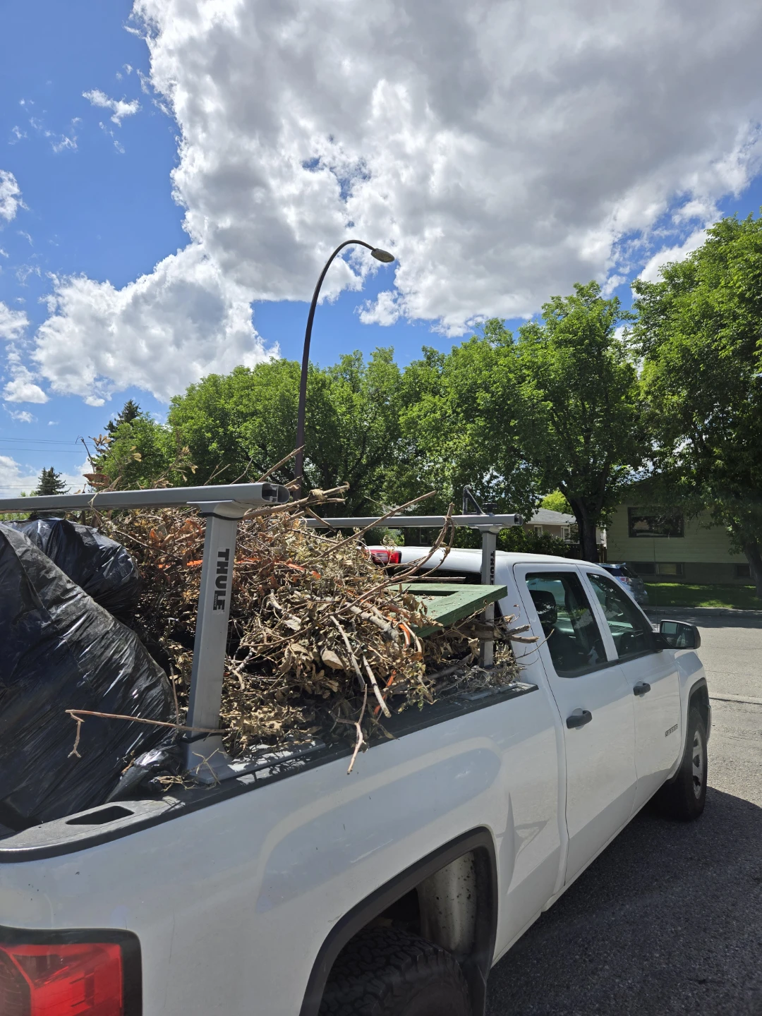 Junk Removal and delivery - photo 4
