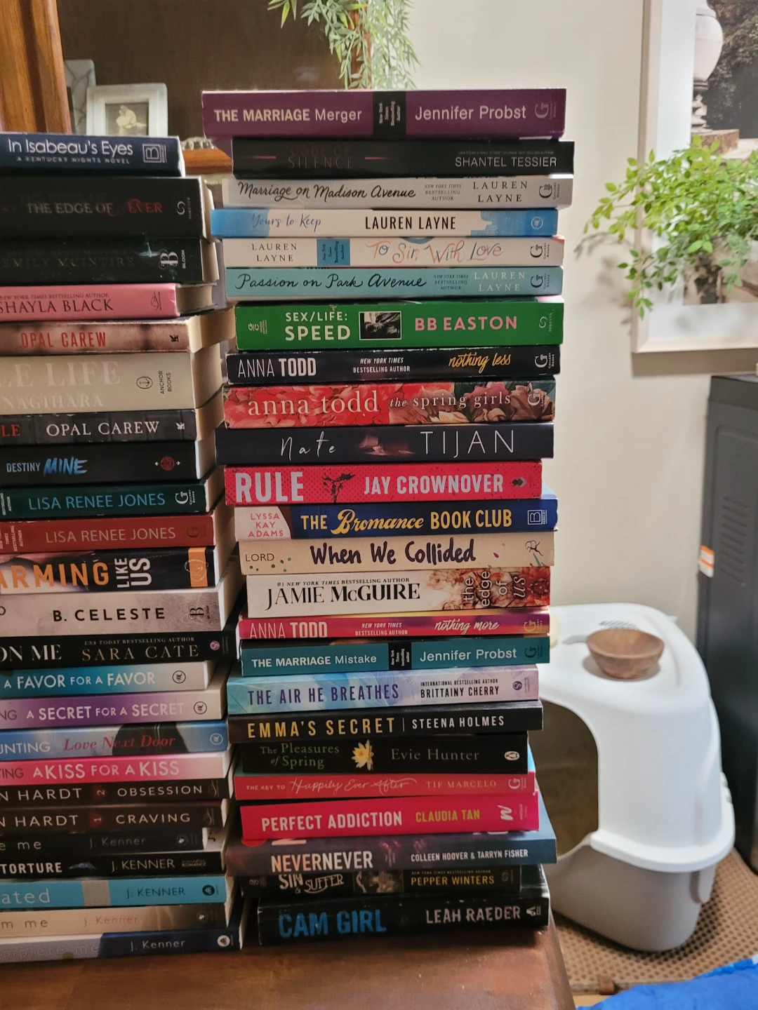 Collection of Romance Novels - photo 3