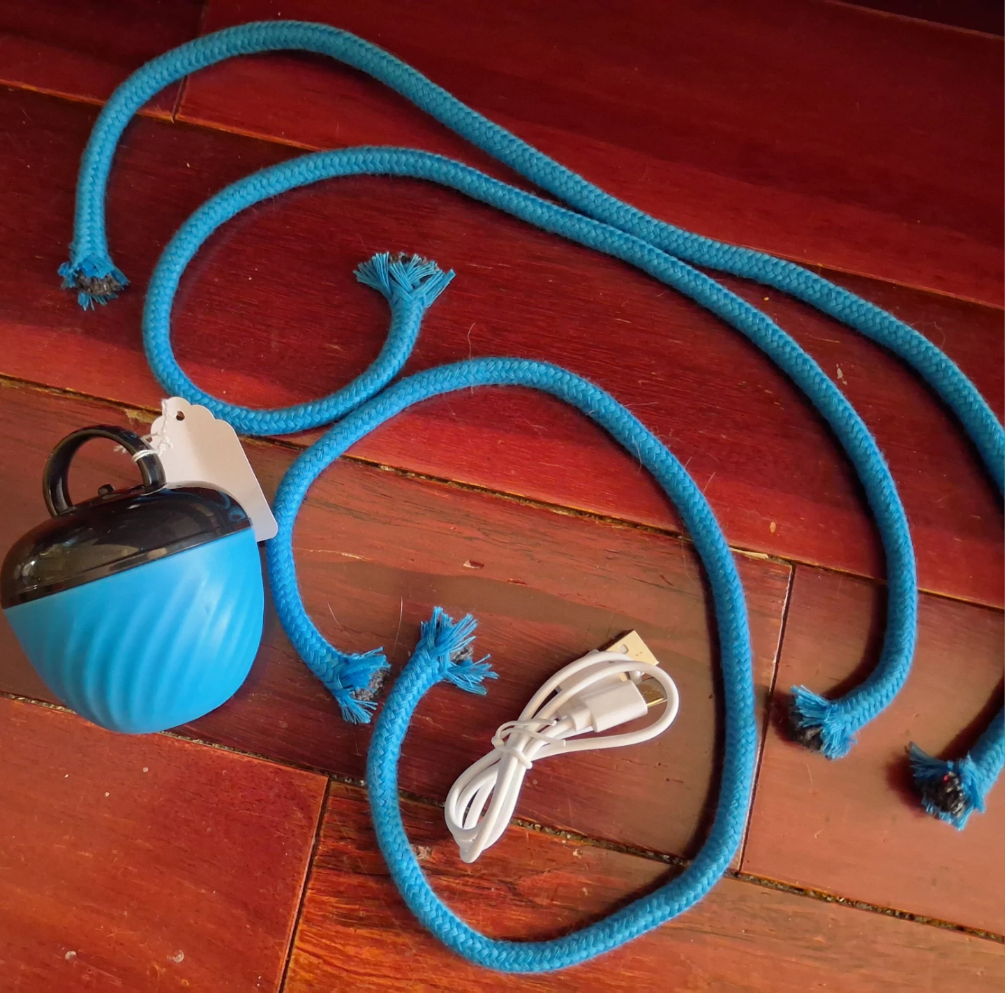 Dog Toy Ball with Rope and USB Charging - photo 4