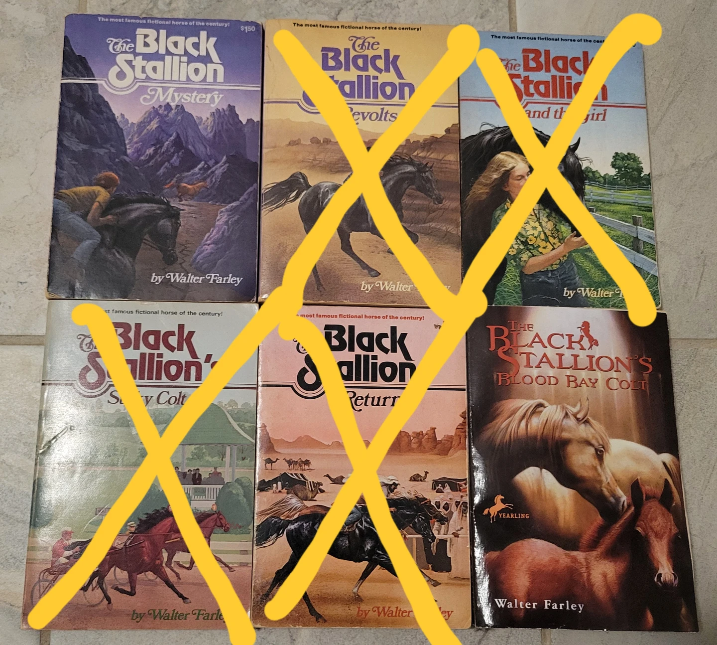The Black Stallion Books by Walter Farley