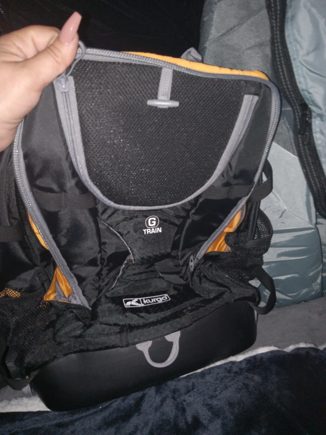 Kurgo Dog Backpack