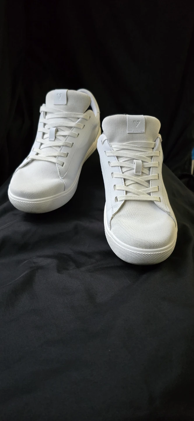Vessi Shoes
