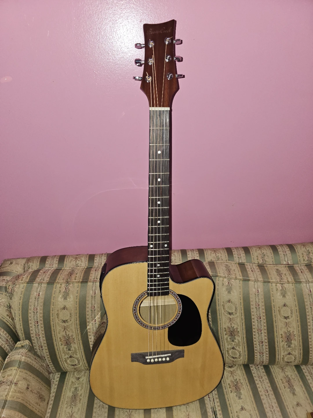 Beaver Creek Acoustic Electric Guitar