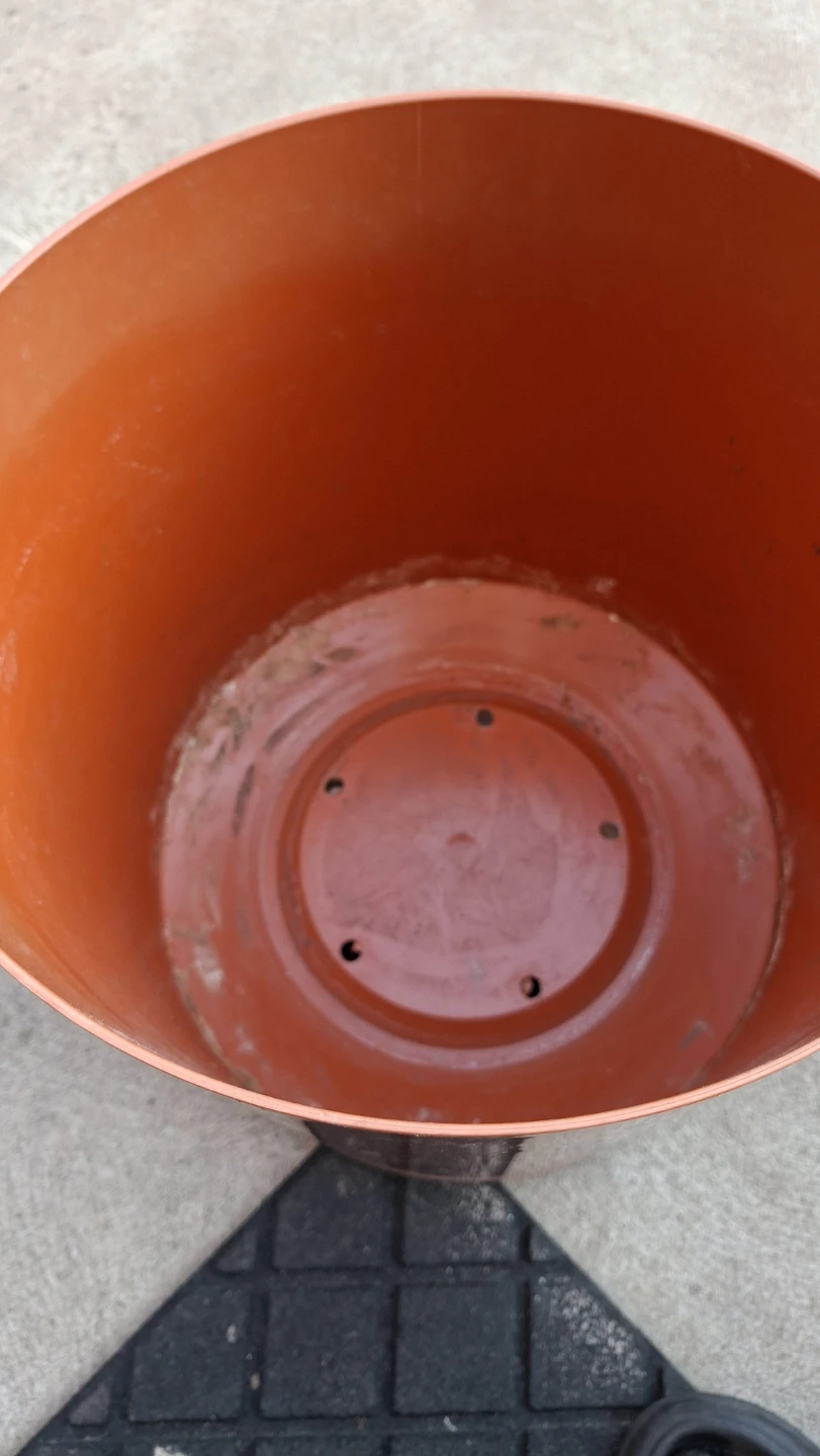 Large Plant Pot - photo 2