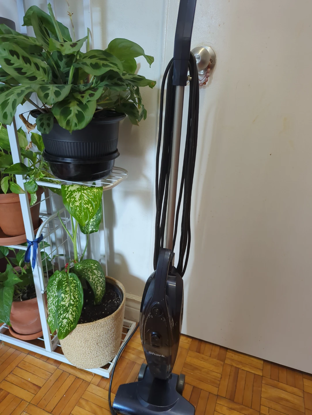 Shark Corded Stick Vacuum