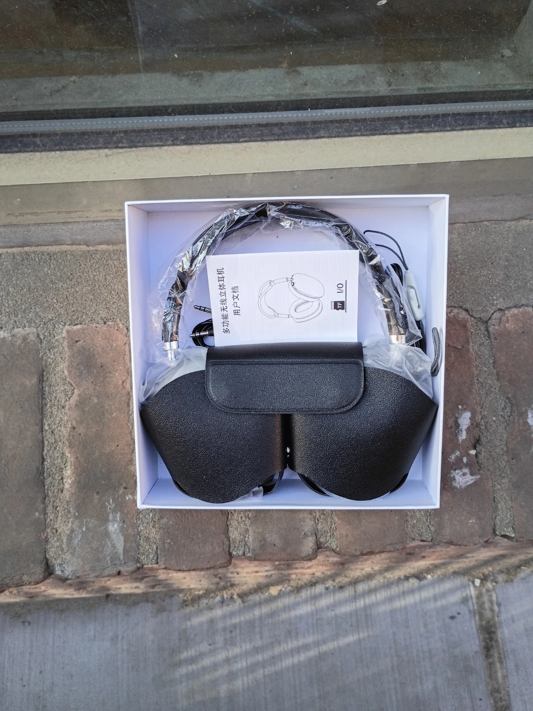 Max with Smart Case Headphones - photo 3