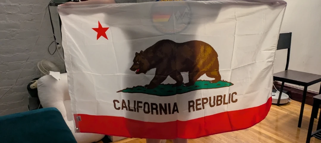 California State Flag