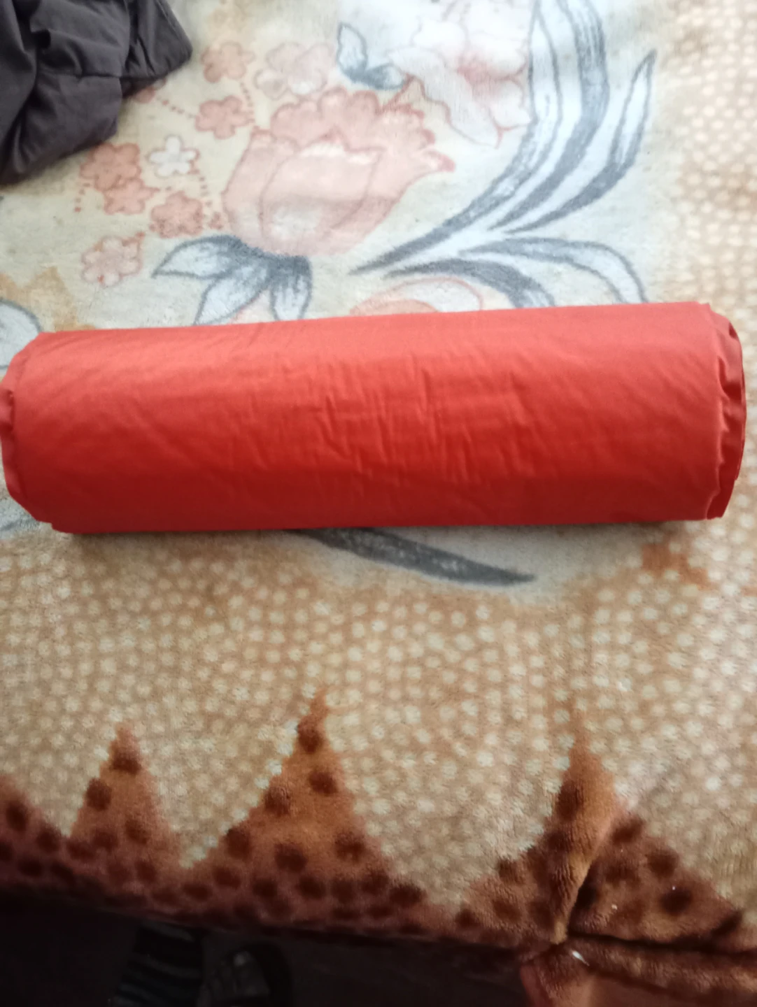 2 new Tents,2 sleeping bag Tarp,mat backpack,mat - photo 5