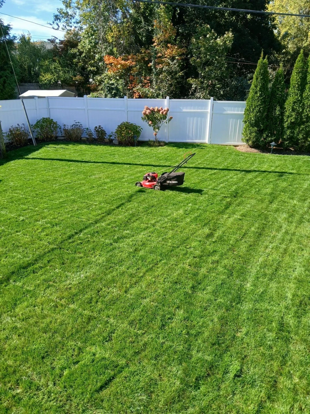 Lawn mowing / need lawns to mow
