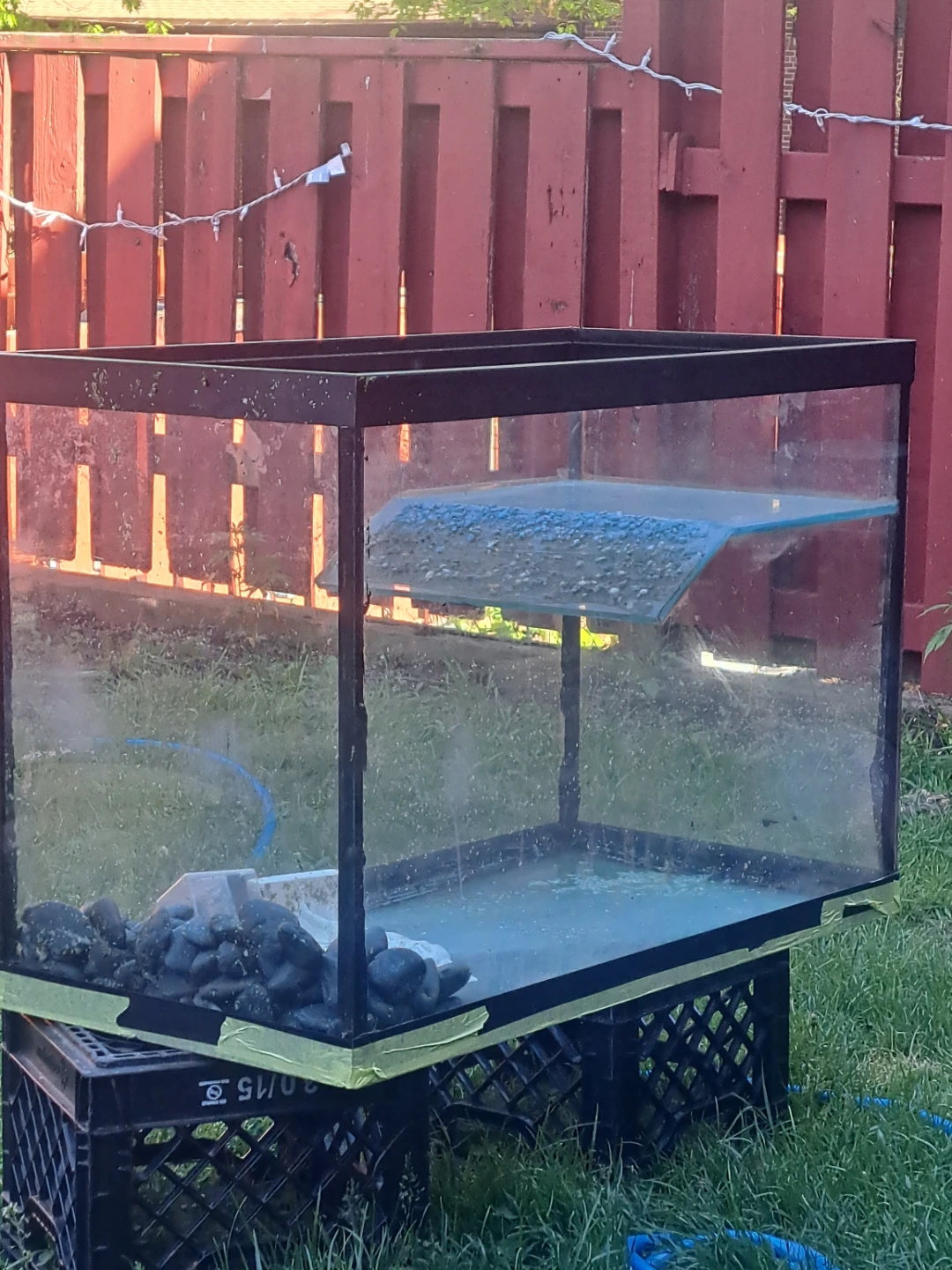 Glass Aquarium Tank