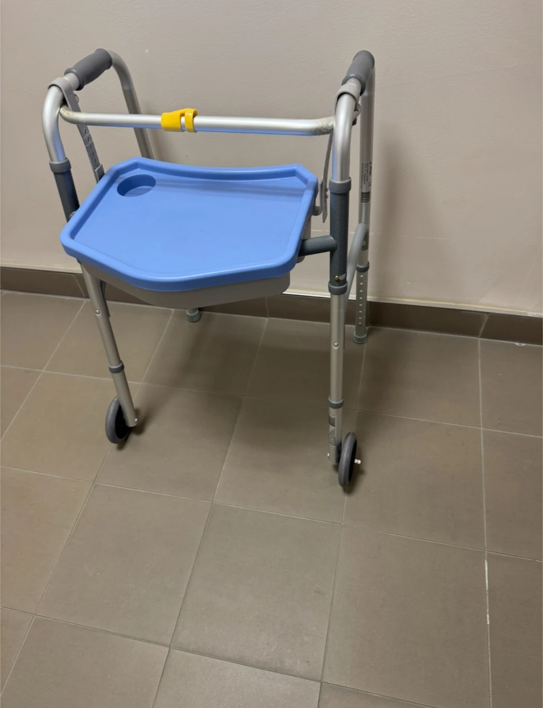 Walker with Tray