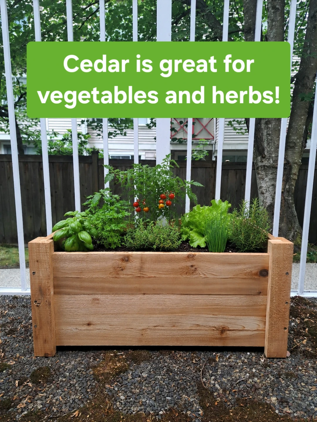 Handmade Cedar Planter Boxes - photo 2