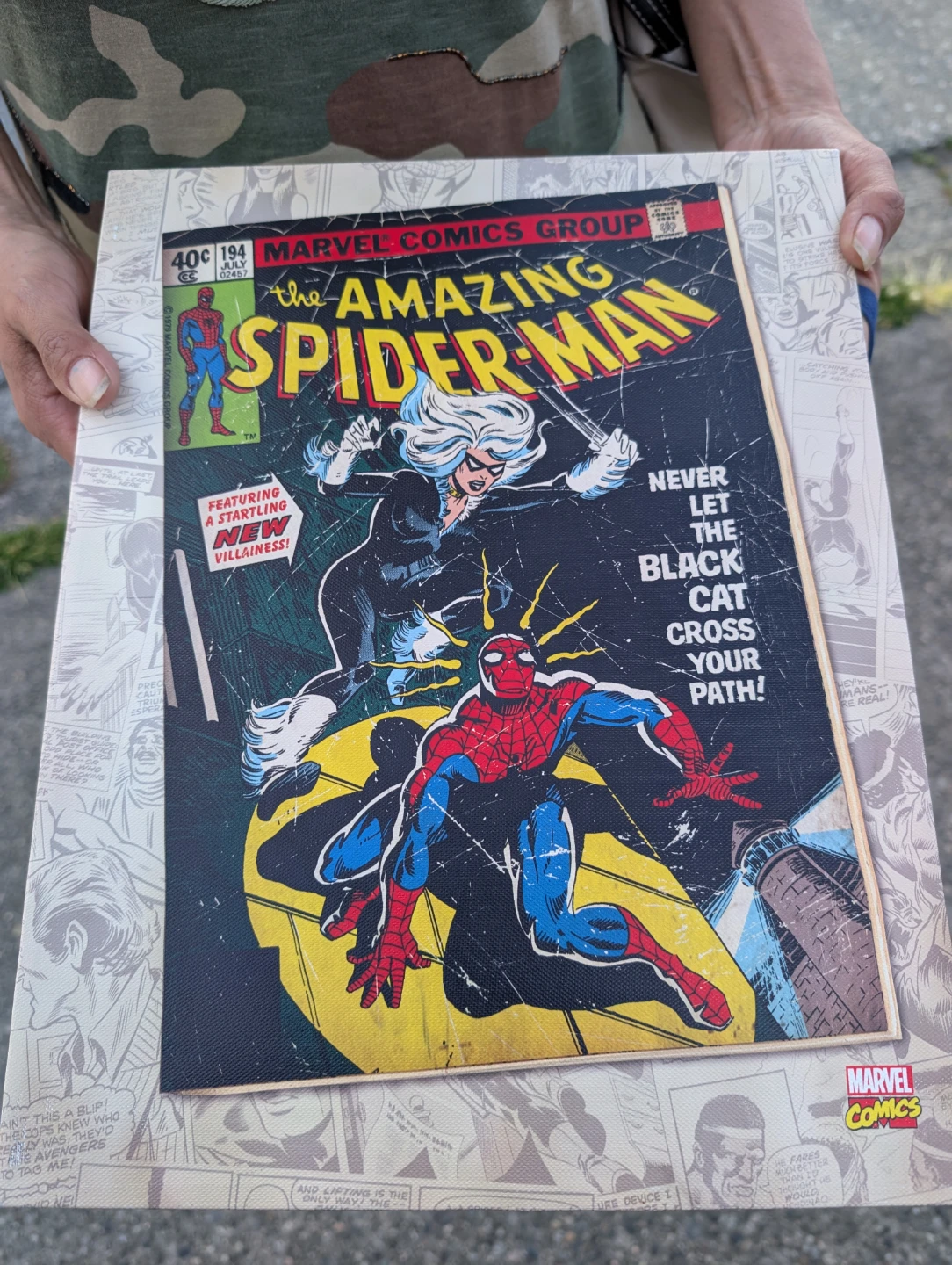 The Amazing Spider-Man #194 Comic Book