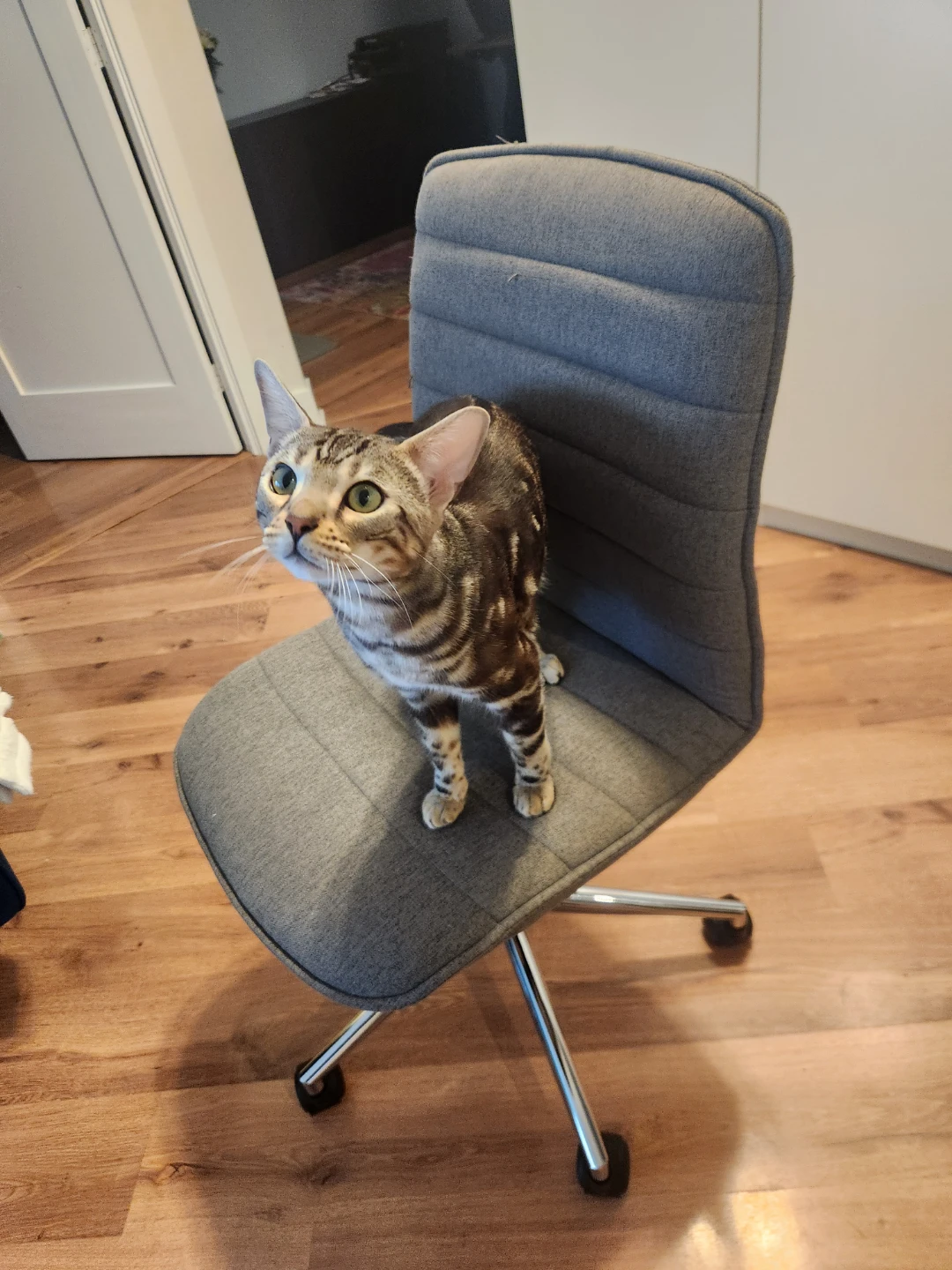 Grey fabric office chair