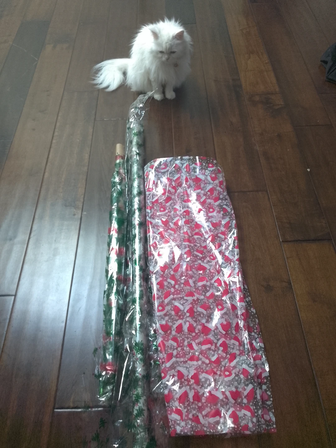 Transparent Christmas Wrapping Papers ⚽