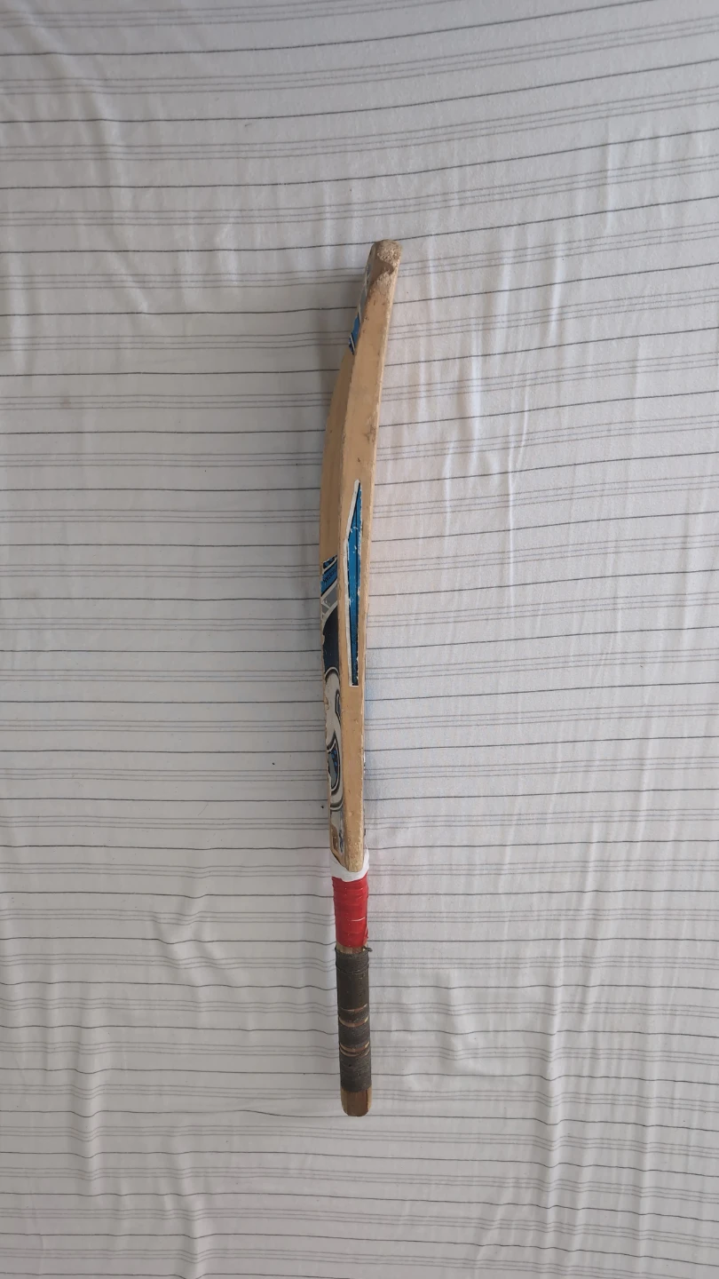 CA Pro 200 Cricket Bat - photo 3