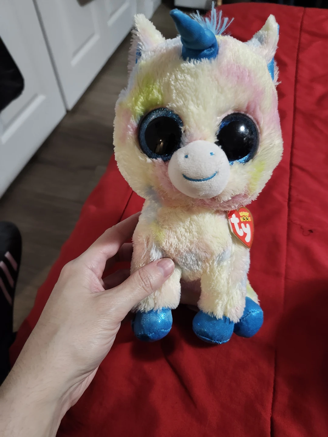 $10 beanie boo -Medium