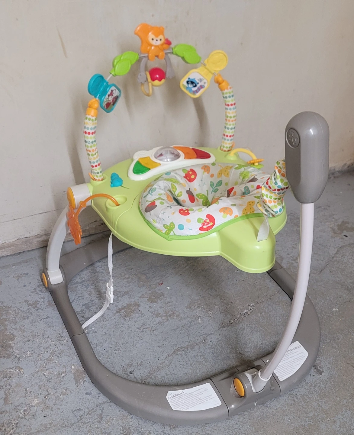 Fisher-Price Jumperoo - photo 2