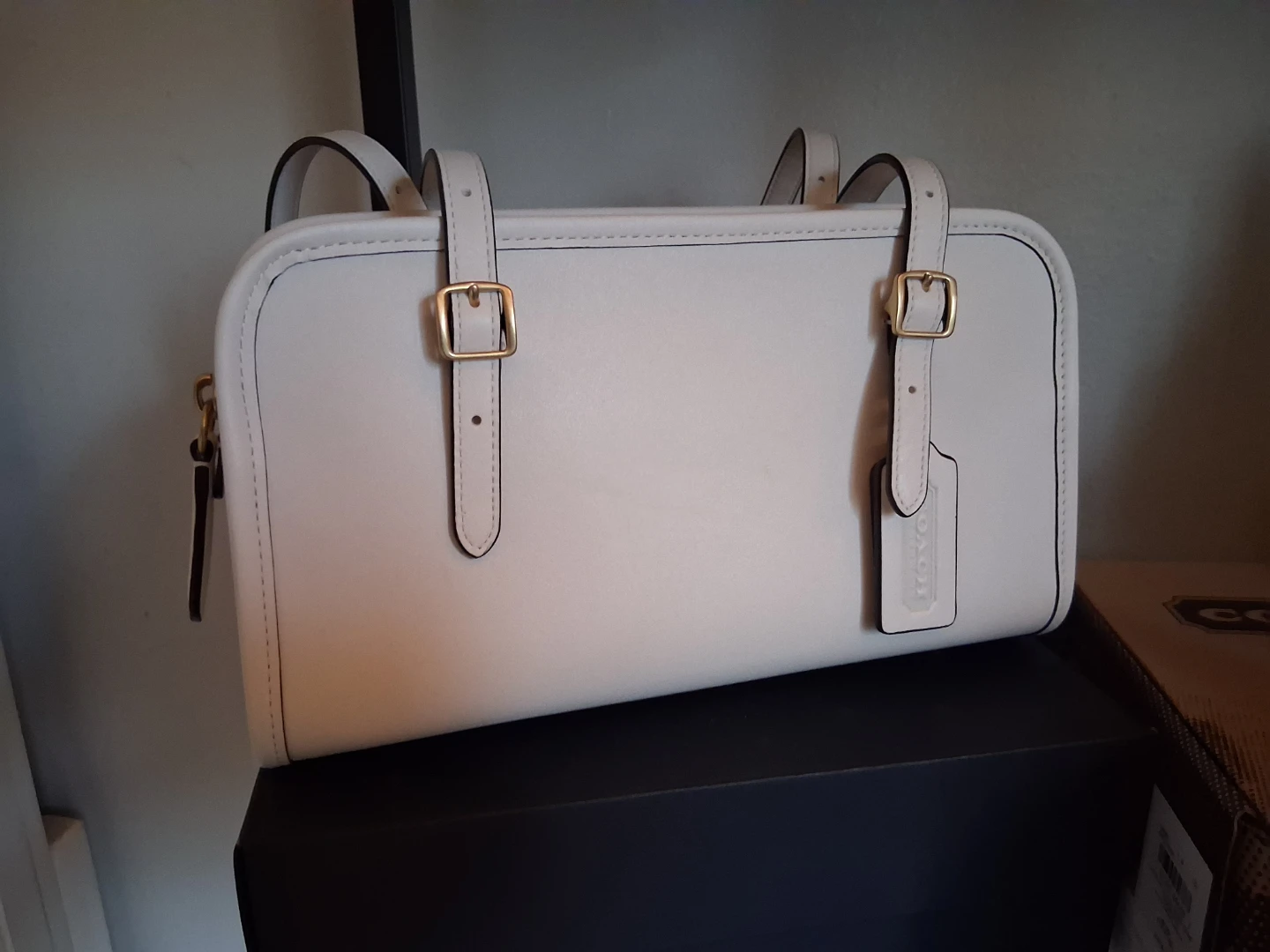 Coach swing zip