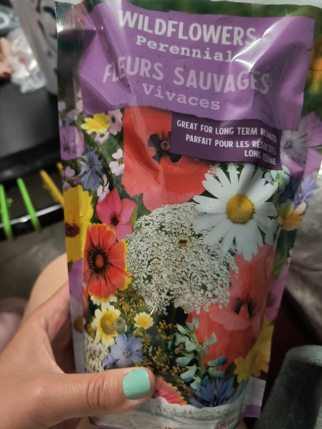 New McKenzie Perennial Wildflower Mix Seeds