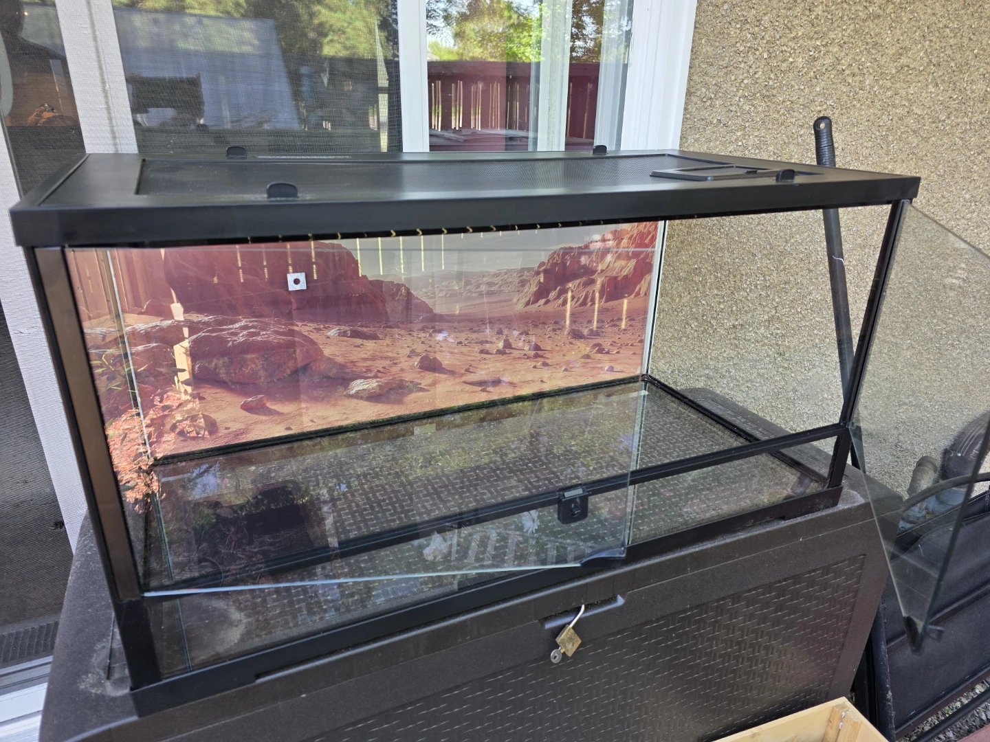 Terrarium Tank - photo 2