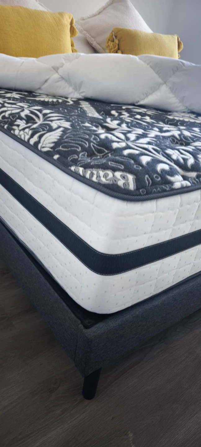 Sleep In Mattress Hybrid Collection Elena Queen Mattress - photo 3